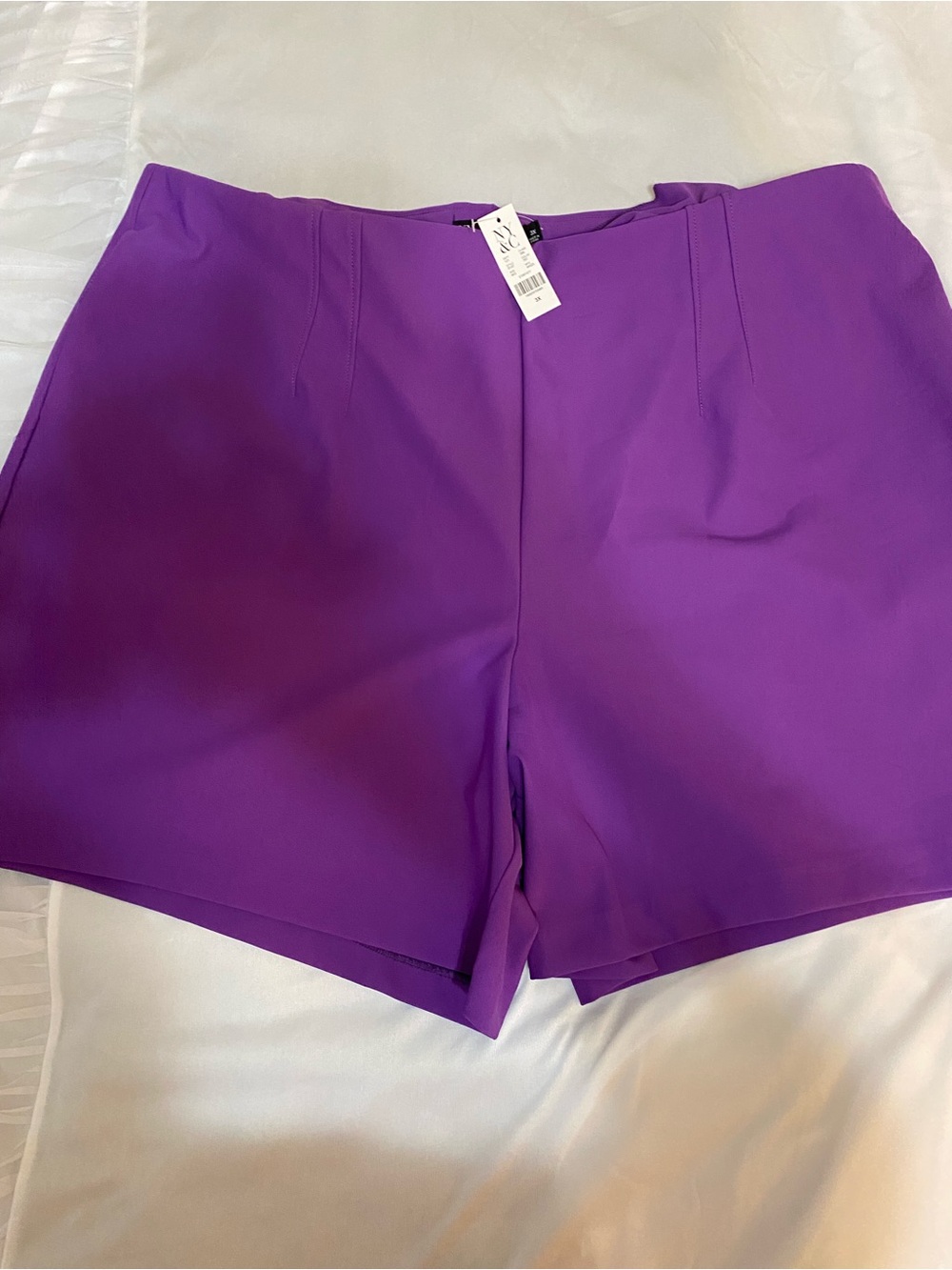 New York & Company Purple Dress Shorts- Rich Purple